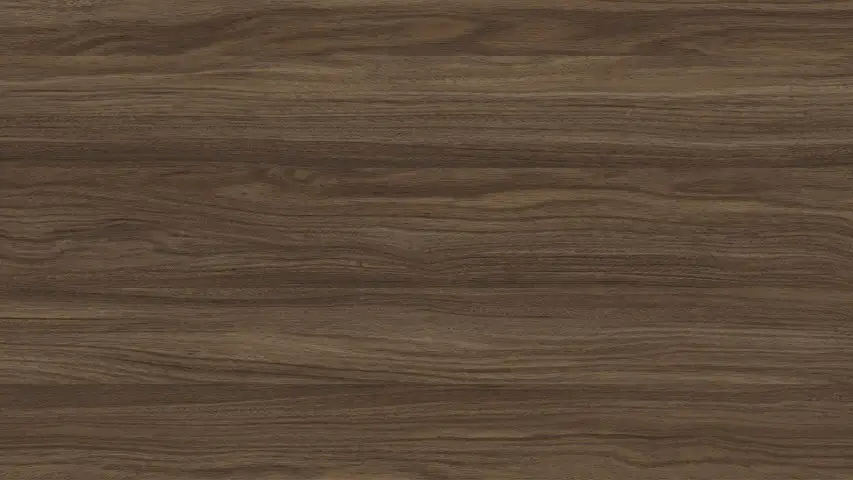 SW 287 Heybe Derin SW 287 Heybe Derin