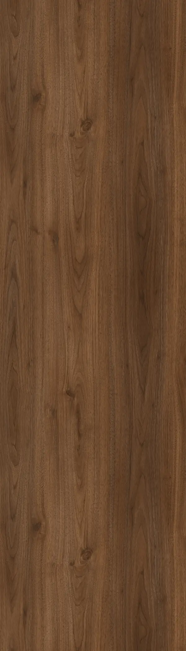 SW 291 Derin Rahle STARWOOD 291 DERIN RAHLE