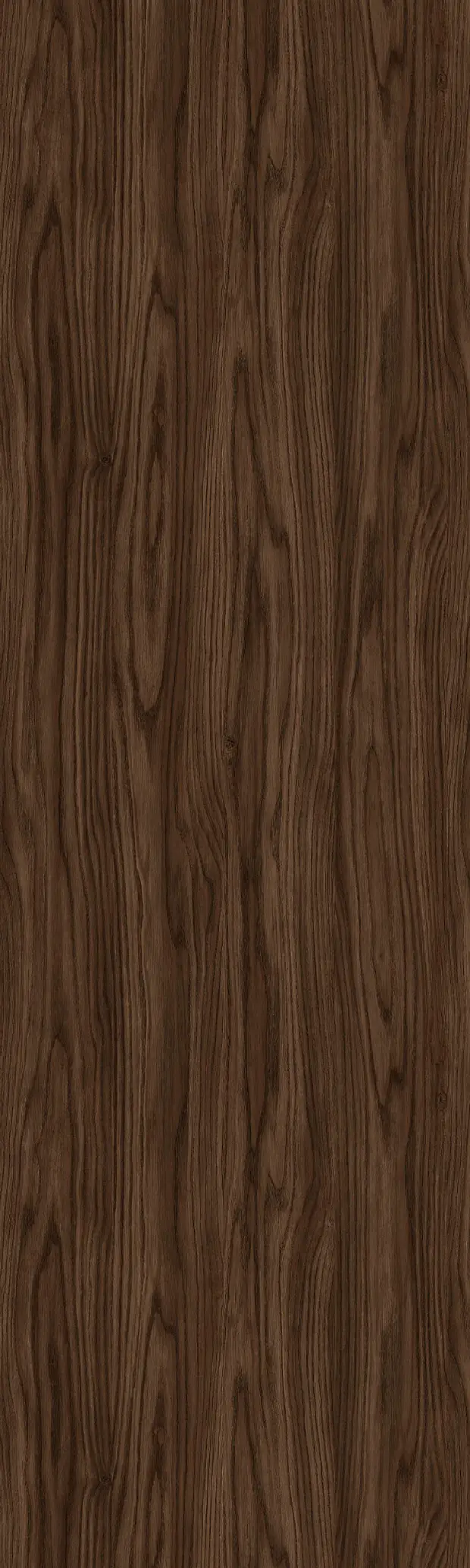 SW 318 Zambak Derin STARWWO 318 ZAMBAK DERIN