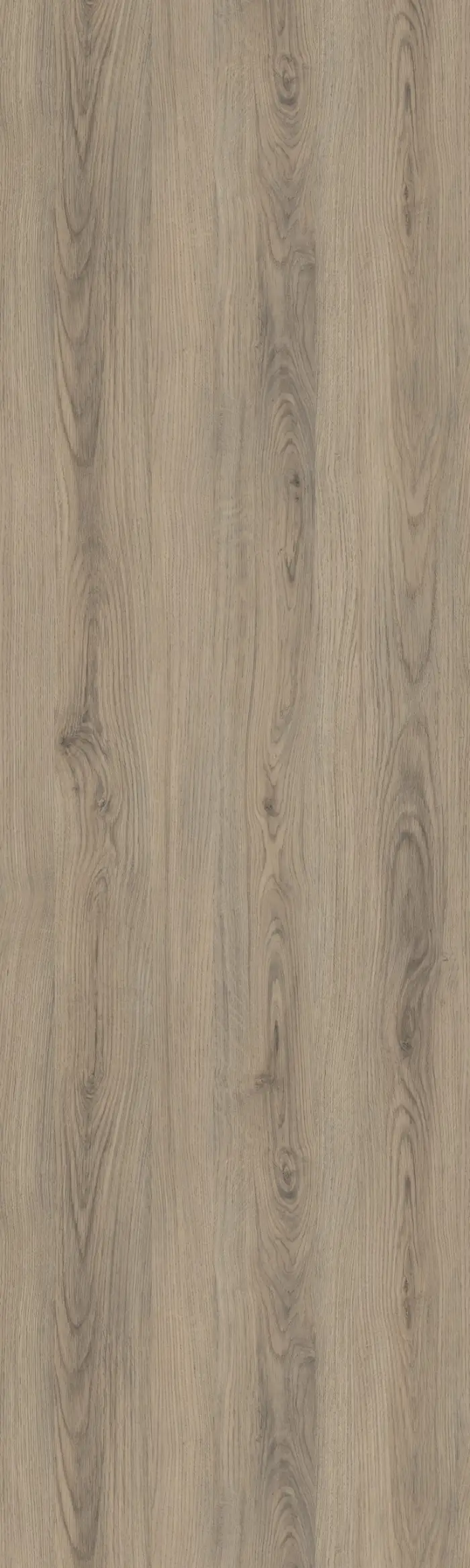 Starwood 328 Asya Senkron