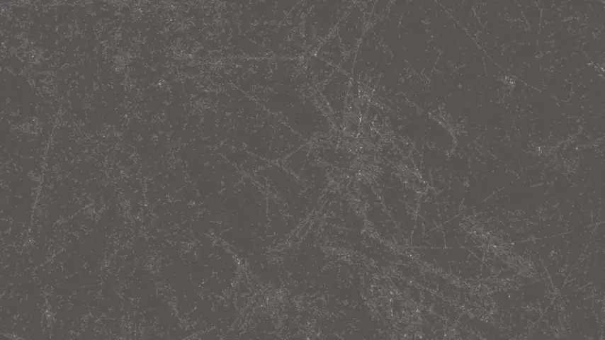 SW 119 Deniz Kabugu Dinamik MFC 280*210*8